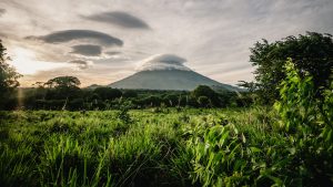 kaffe fra Nicaragua