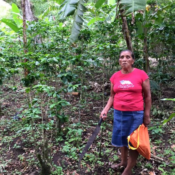 Kaffebonde i det nordlige Nicaragua