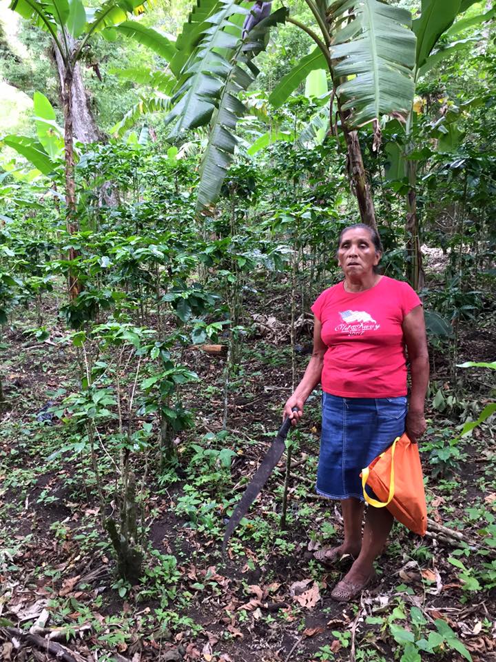 Kaffebonde i det nordlige Nicaragua