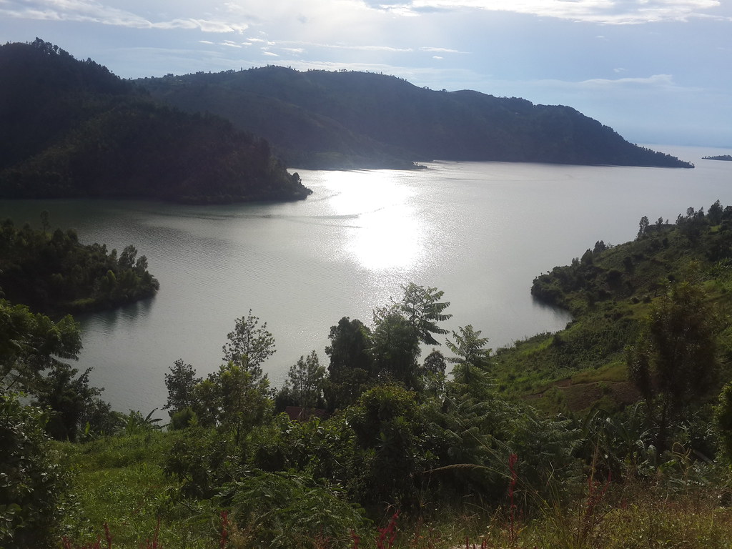 Kaffelandskab ved Kivusøen, Rwanda